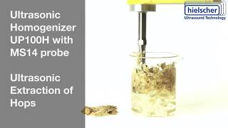 Ultrasonic Extraction of Hops  Hielscher Ultrasonics  Ultrasonic Processor UP100H [upl. by Joshi]