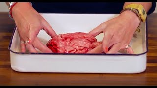 Brain Dissection Biology amp Psychology GCSE Alevel NEET Practical Skills [upl. by Nabi931]