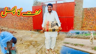 mehnat ka fal bakhtoo family vlogs Pak village family [upl. by Arliene]