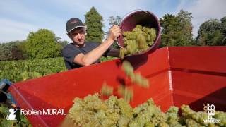 Fabien Murail • Vigneron par passion Mareuil SLay [upl. by Traggat]