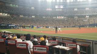 現地フィールド目線 ノイジー先制ホームラン 日本シリーズ第7戦4回表 阪神タイガース日本一決勝3ラン 京セラドーム臨場感永久保存版 [upl. by Anirat]