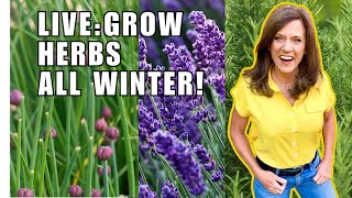 🌿LIVE Growing Perennial Herbs ALL Winter Long REPLAY [upl. by Arney731]