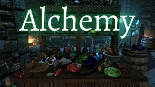 Skyrim  Alchemy Guide 2022 [upl. by Ailis308]