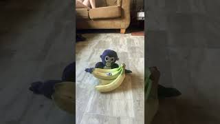 Monkey loves banana and￼ [upl. by Celia]