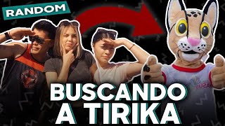 BUSCANDO A TIRIKA [upl. by Elnora980]