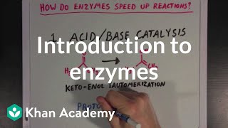 Introduction to enzymes and catalysis  Chemical Processes  MCAT  Khan Academy [upl. by Janot635]