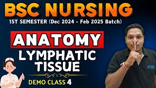 LYMPHATIC TISSUE  anatomy bsc nursing  bsc nursing 1st sem  anatomy BSC NURSING  BSC NURSING [upl. by Moguel]