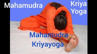 Mahamudra Kriyayoga Swami Nityananda Giri [upl. by Eremaj]