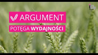 🌱 Pszenica ozima ARGUMENT [upl. by Aihpled288]