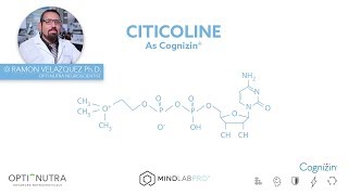 Cognizin® Citicoline with Dr Ramon Velazquez PhD  Mind Lab Pro® [upl. by Jacobah]