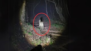 5 VIDEOS de TERROR EXTREMO Para NO DORMIR 2024  Casos reales  LA LLORONA [upl. by Anaeli845]