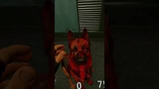 Bloody As All Can Be 🐕‍🦺 Arizona Sunshine PSVR2 shorts [upl. by Maillil]