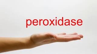 How to Pronounce peroxidase  American English [upl. by Esinrahc]