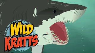 Wild Kratts  The Great White Shark  NATURE [upl. by Trebla884]