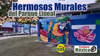 Hermosos Murales del Parque lineal en Mazatlán [upl. by Anilatak]