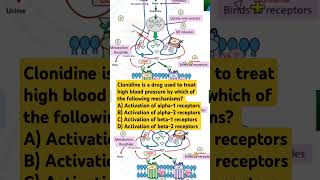 Clonidine is a drug used to treat high blood pressure by which of the following mechanisms [upl. by Dillon]