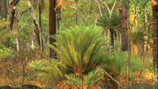 Savannah Way Journey Borroloola to Karumba Australia [upl. by Marras647]