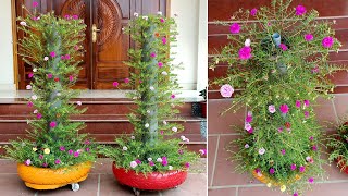 Brilliant idea Grow Moss Rose Portulaca Grandiflora from Cuttings in PVC Pipes [upl. by Ahsratan]