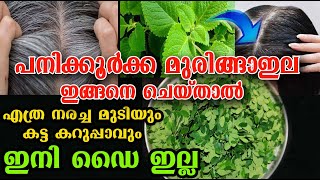 തൊട്ടാൽ മതി നര മാറി മുടി വളർത്താംhair natural care poppy vlogs malayalam [upl. by Hgiel]