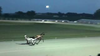 Nappanee Raceway 62824 GV Jokers Drew wins in a NEW ALL HORSE WORLD RECORD 1021 [upl. by Saideman]