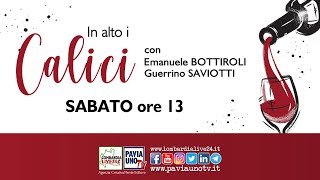 IN ALTO I CALICI  REPORT IL VINO IL FUTURO [upl. by Oaht]