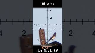 105 Yard Head Shot on a Magpie [upl. by Andromada]