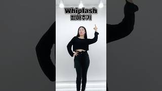 댓글에 있는 동작들로 만든 Whiplash 안무 [upl. by Hahnert838]