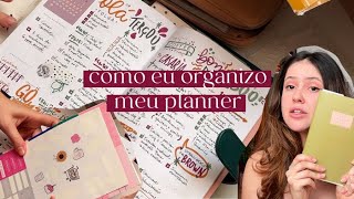 como eu organizo meu PLANNER [upl. by Foskett50]