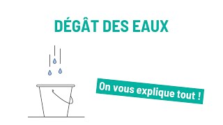 Que faire en cas de dégâts des eaux chez soi [upl. by Ahseirej]