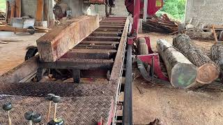 Granadillo figured woods are milling  Granadillo look like Cocobolo exotic lumber and slabs [upl. by Aed]