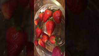 Strawberries in salt water worms or not [upl. by Eboh]