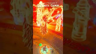 CALAMITY GANON BOSS FIGHT zelda botw nintendo shorts [upl. by Beall]