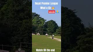 What a Six 💥 Cricket shots shorts cricket fyp [upl. by Rowan]