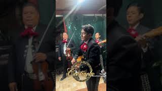 puñalada trapera mariachi centinela de gdl [upl. by Hyatt721]