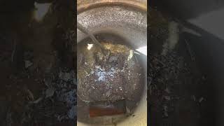 How to Unclog a Floor Drain Step by Step Instructions [upl. by Auqinihs]