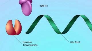 Mechanisms of Action of NonNucleoside Reverse Transcriptase Inhibitors NNRTIs [upl. by Nothsa]