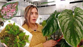 Plant Growth Updates  Houseplant Collection Growth Vlog Houseplant Updates [upl. by Eiralc665]