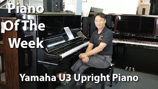 Piano of the Week Yamaha U3 Upright Piano  Cunningham Piano Company [upl. by Consolata]