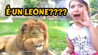 Conosciamo gli animali dello ZOO di Napoli vlog avventura [upl. by Maze]