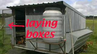 Organic Farming  How to Build sheds for laying hens [upl. by Noryk]