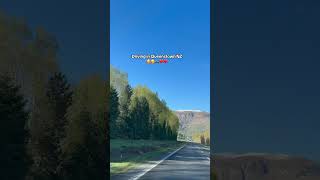 Enjoy breathtaking Views in Queenstown while driving music hiphop automobile raincitydrive [upl. by Jalbert640]