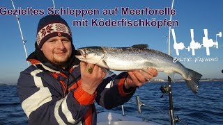 Erfolgreiches Schleppen mit KöderfischBaitholder auf Meerforelle und Lachs MontageEinstellung [upl. by Aicilev]