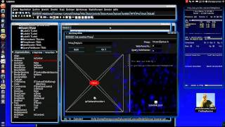 Lazarus  Python  Anonymer SSL Webbrowser Demo Testprogramm für Programmierer [upl. by Arlyne91]