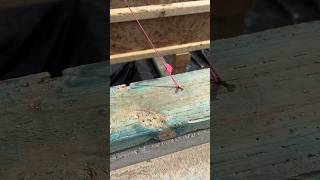 How to string a line tight construction framing diy trending tools framer [upl. by Aiuhsoj915]