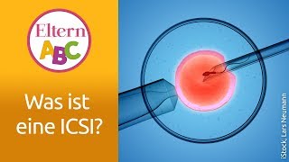 ICSI In welchen Fällen wird sie eingesetzt  Kinderwunsch  Eltern ABC  ELTERN  Elternratgeber [upl. by Avenej]