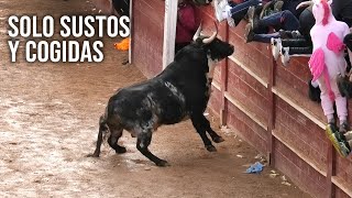 Toros Bravos Solo Sustos y Cogidas [upl. by Oker]