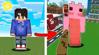 I became CURSED PEPPA PIGGY in Minecraft [upl. by Verneuil]