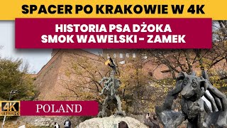 Spacer po Krakowie  Pomnik Psa Dżoka  Smok Wawelski  Zamek Królewski na Wawelu  Krakow 4k ⛅ [upl. by Leorsiy]