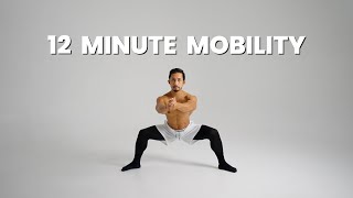 Full Body MOBILITY In Less Than 12 Minutes [upl. by Airaet]