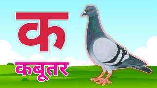 123 Numbers learn to count One two three 1 to 20 1 to 100 counting Hindi alphabet 2693 [upl. by Anifares]